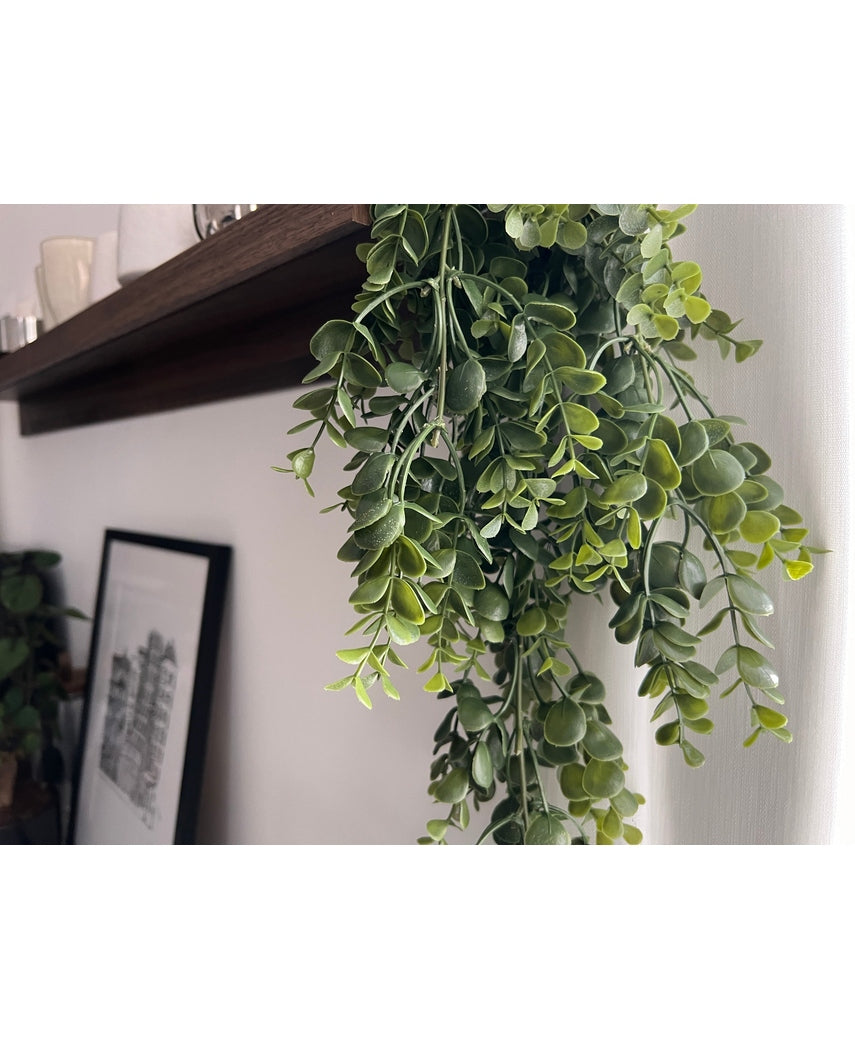Artificial Hanging Pilea